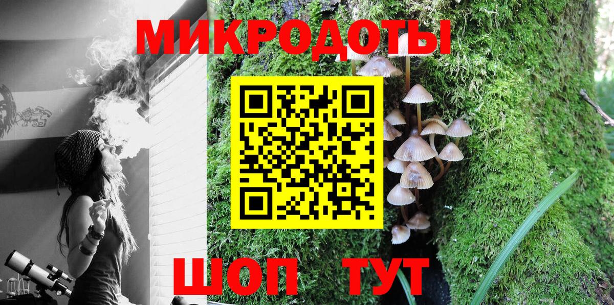 Галлюциногенные грибы мицелий Богданович