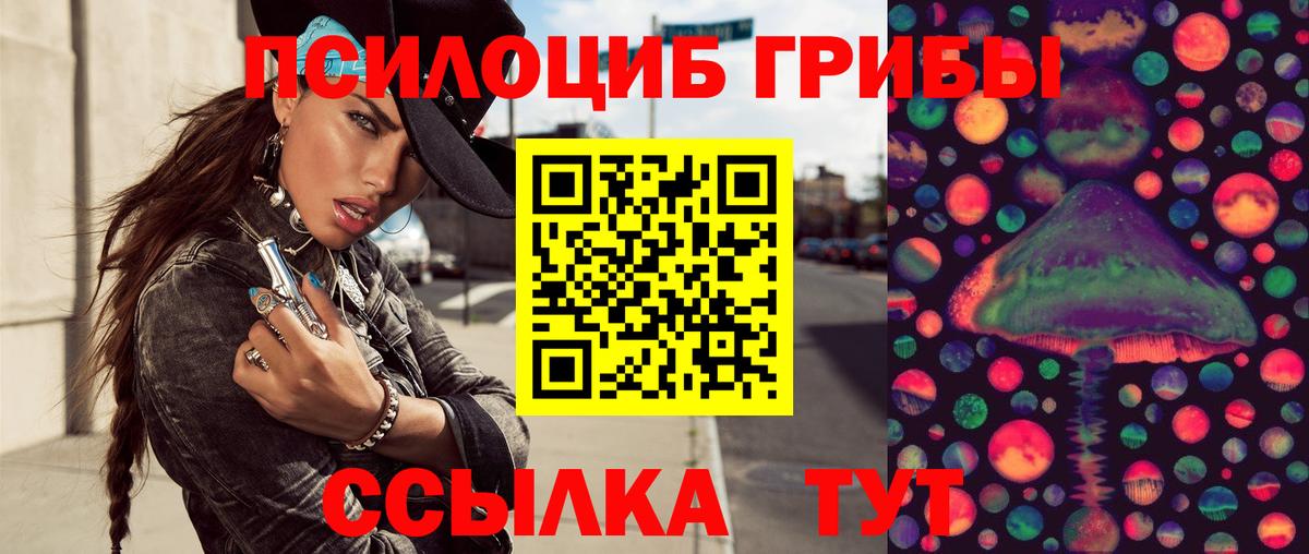 Псилоцибиновые грибы мицелий  Вход с VPN  Богданович 